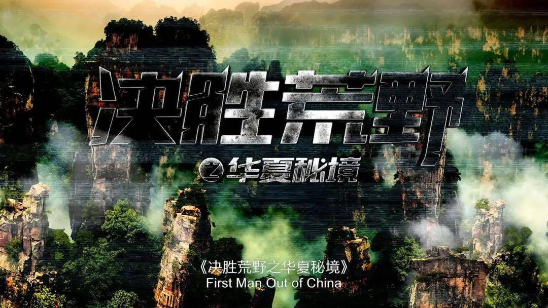 数码宝贝8